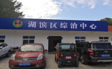 年度综治工作总结8篇