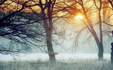 走进童话的作文5篇