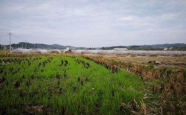 房屋租赁标准合同模板8篇