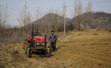 房屋租赁商用合同优秀6篇