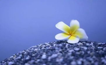 做好自己作文高中作文8篇