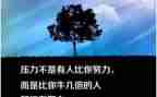 我的座右铭作文精选6篇
